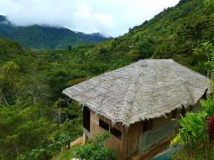 Tami Lodge Ausblick